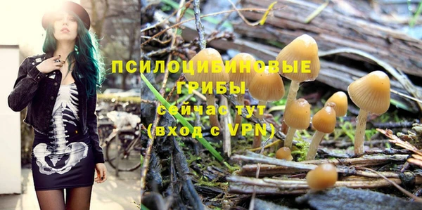 таблы Богородицк