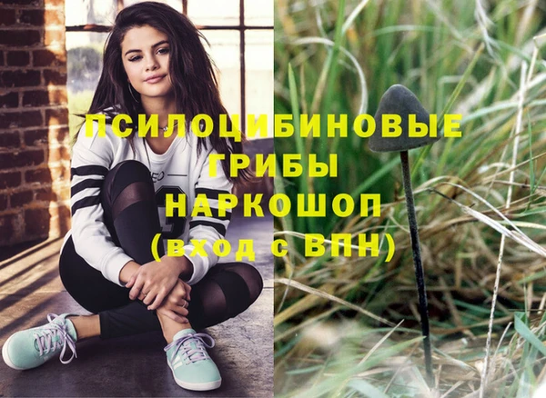 соль курить ск Богданович