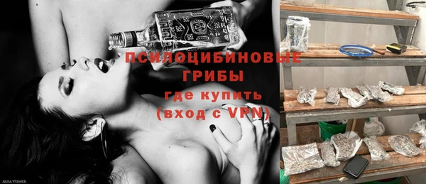 таблы Богородицк