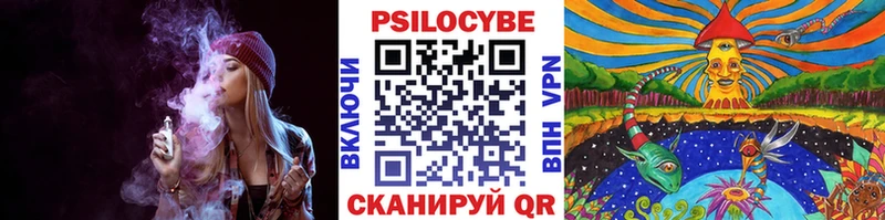blacksprut зеркало  Михайлов  Псилоцибиновые грибы Magic Shrooms 